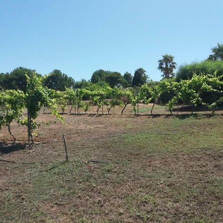 מסטיכרי Villa Kos מראה חיצוני תמונה