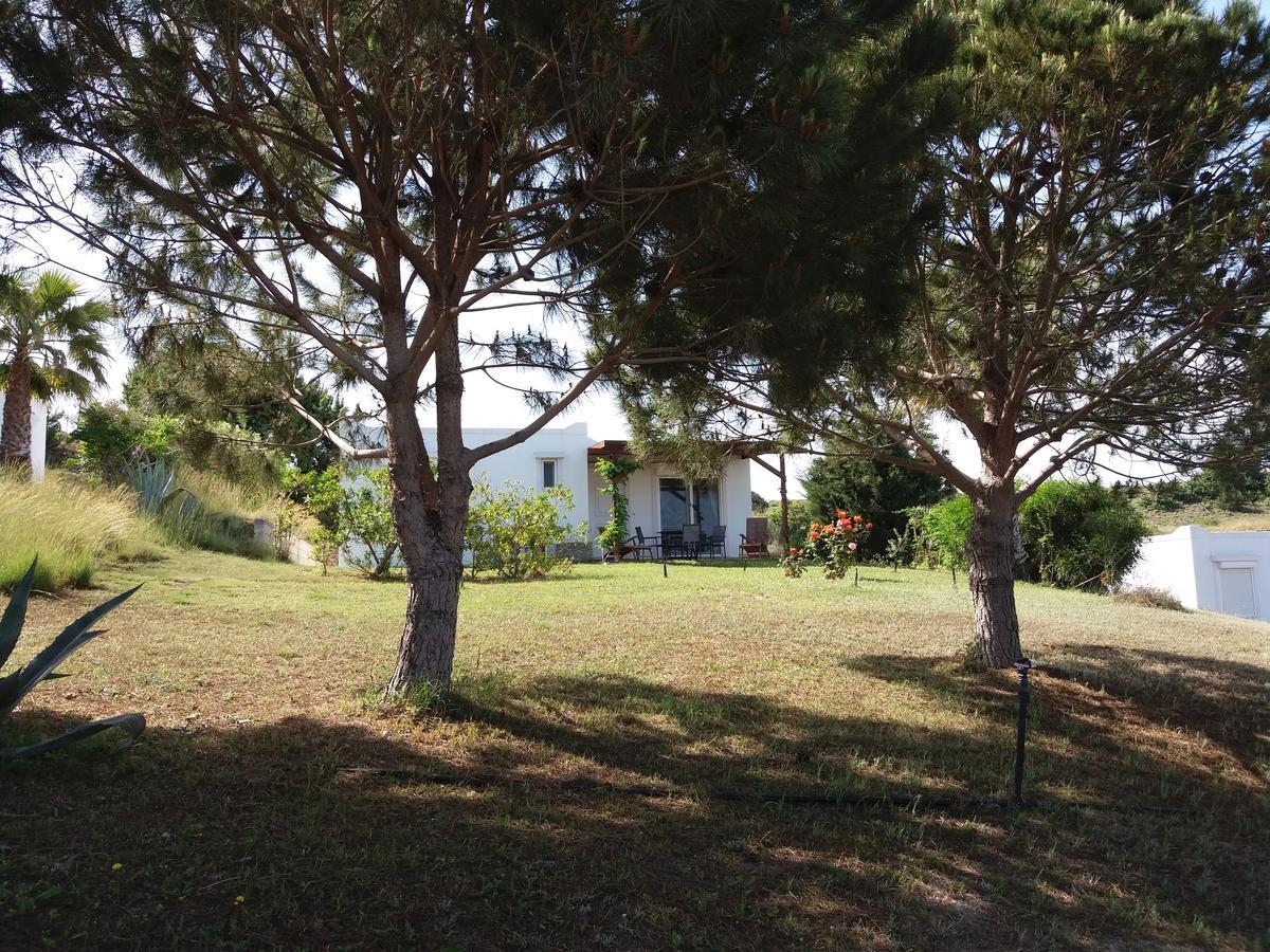 מסטיכרי Villa Kos מראה חיצוני תמונה