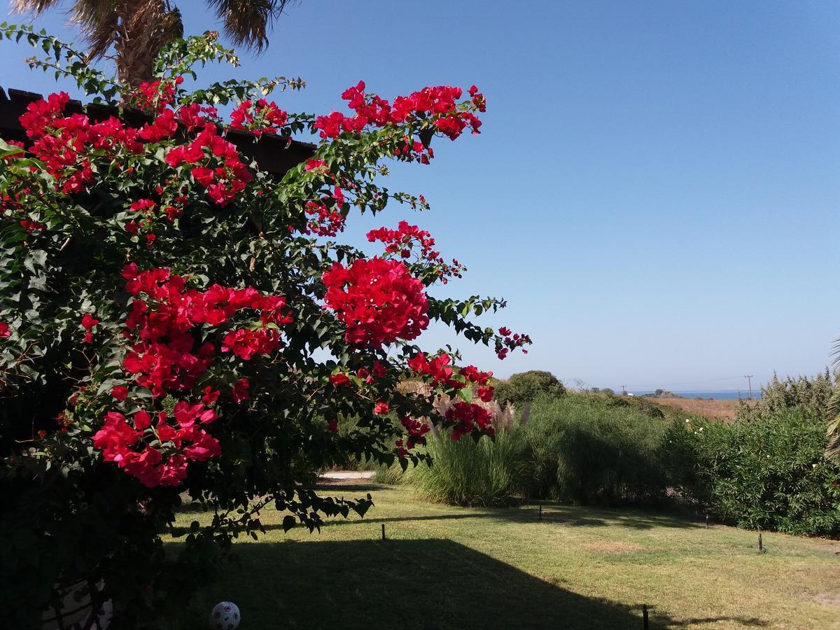 מסטיכרי Villa Kos מראה חיצוני תמונה