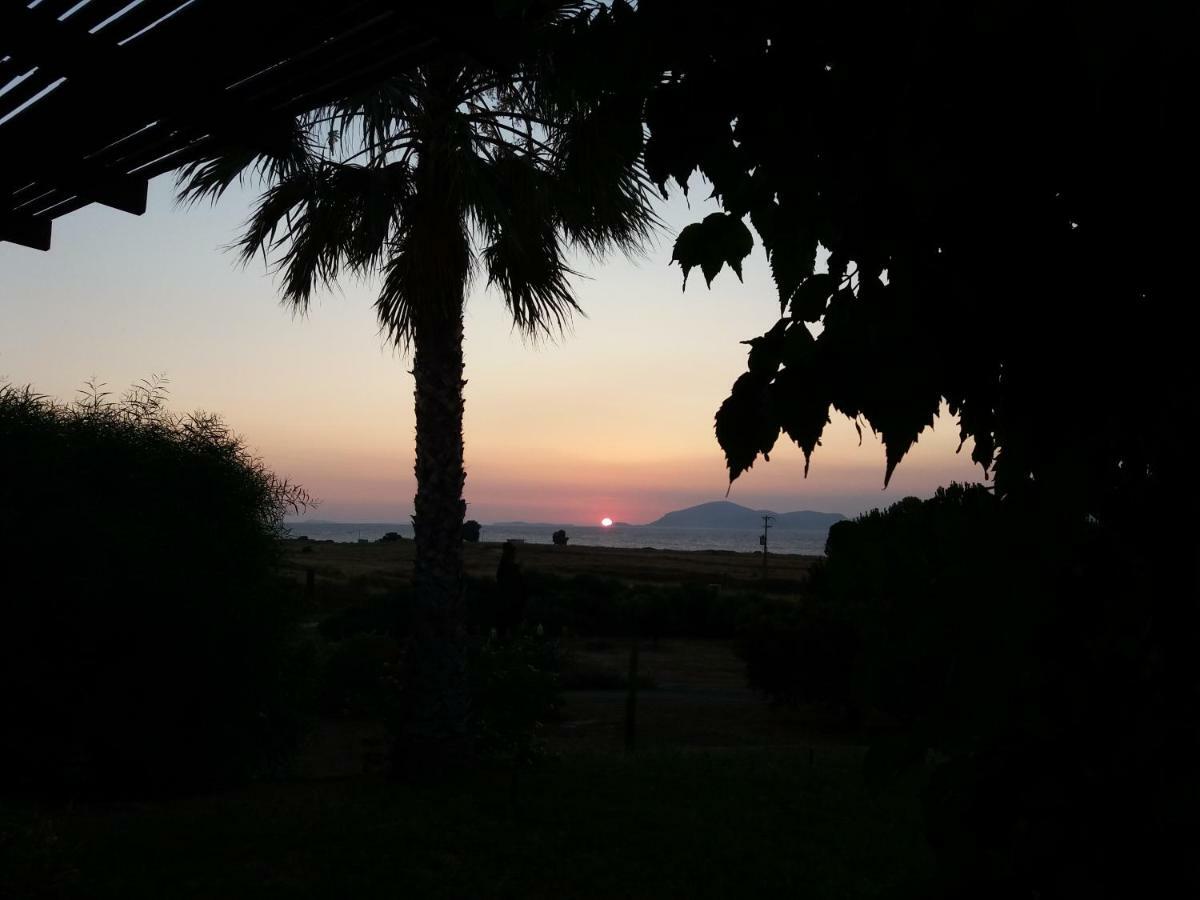מסטיכרי Villa Kos מראה חיצוני תמונה