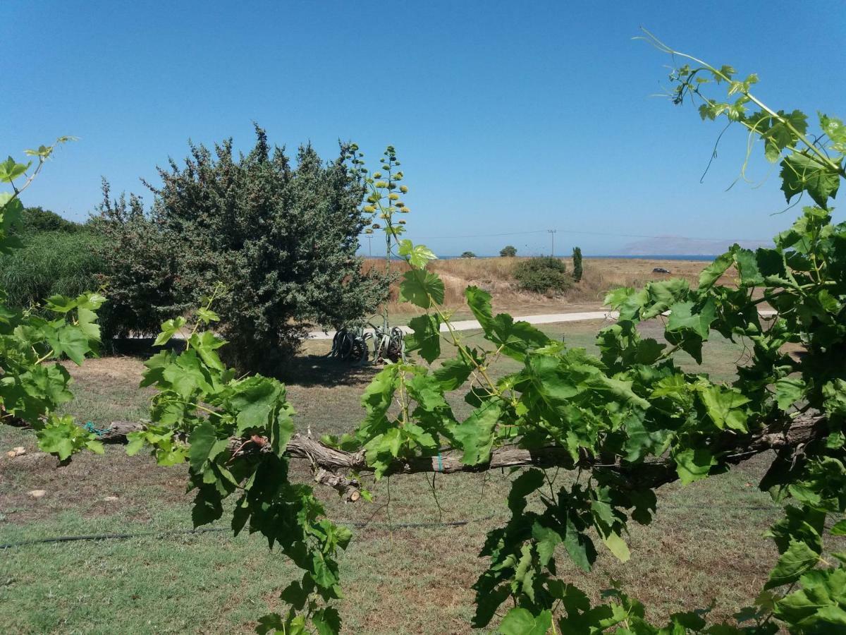 מסטיכרי Villa Kos מראה חיצוני תמונה